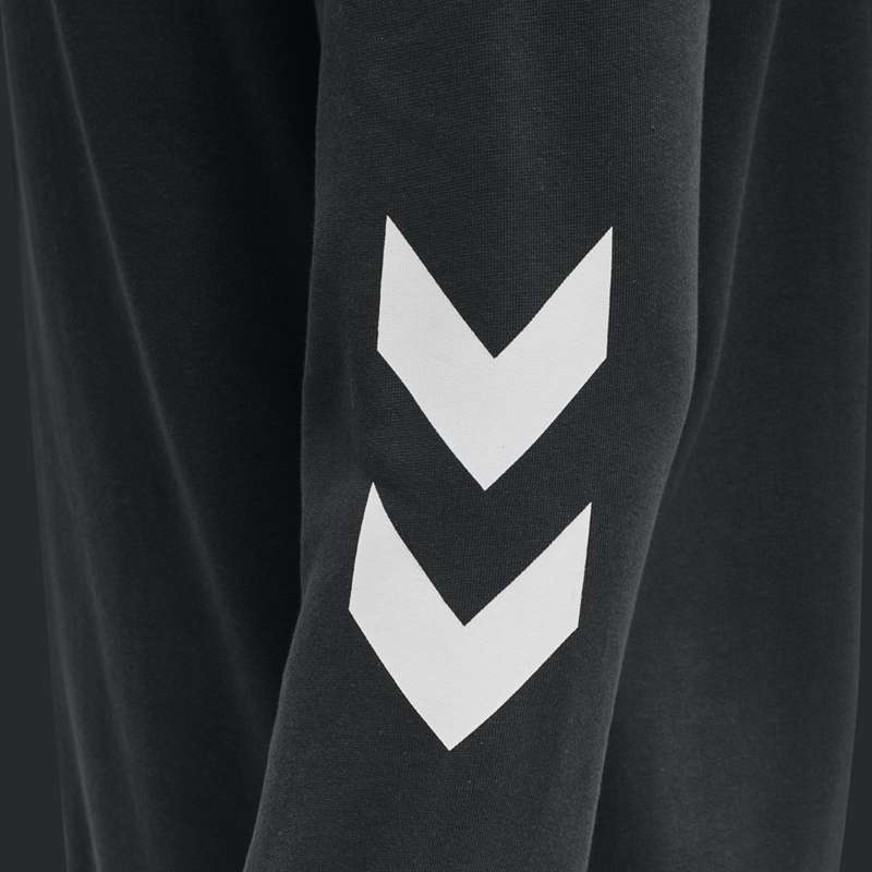 Hummel Legacy Zip Plus Hoodie Herren Schwarz | 478094-938