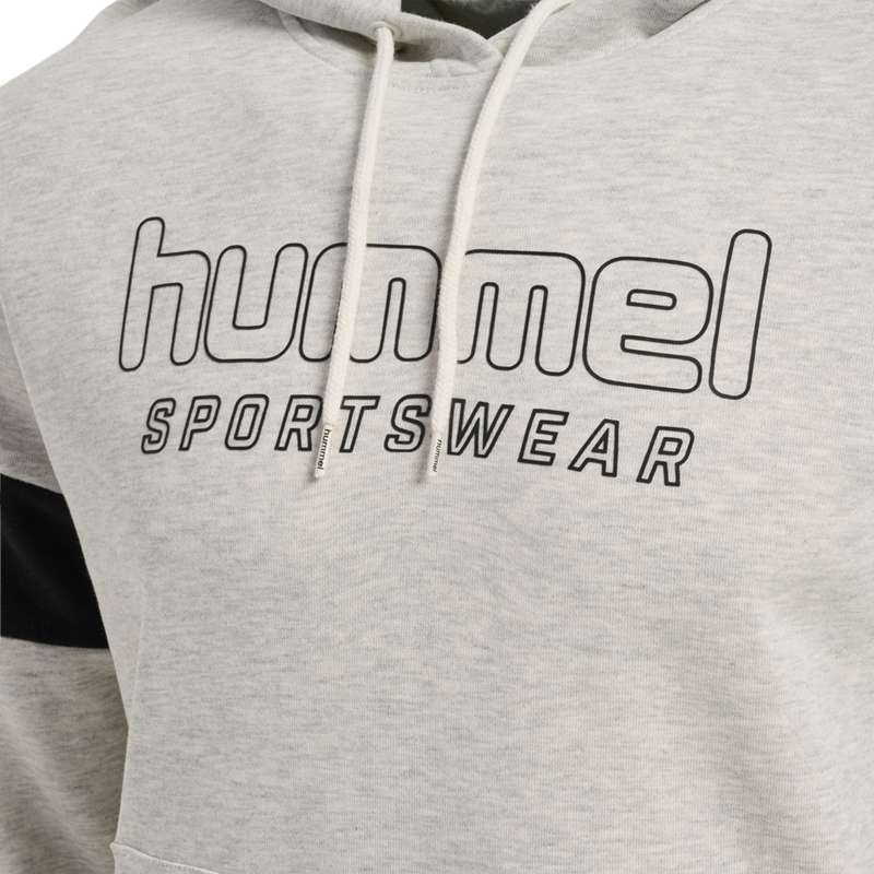 Hummel Lgc Bryce Hoodie Herren Grau | 727378-596