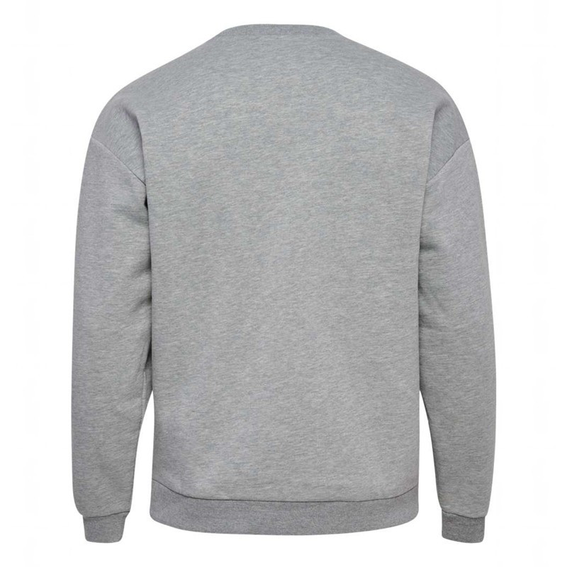 Hummel Loose Crewneck Bee Strumpfhose Damen Grau | 810798-064