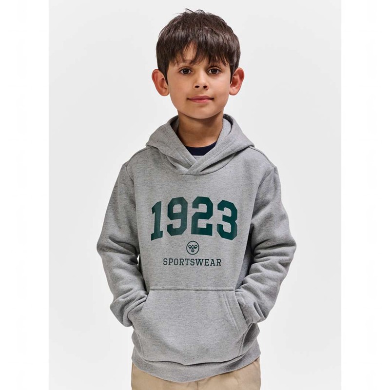 Hummel Nipps Hoodie Kinder Grau | 748617-625
