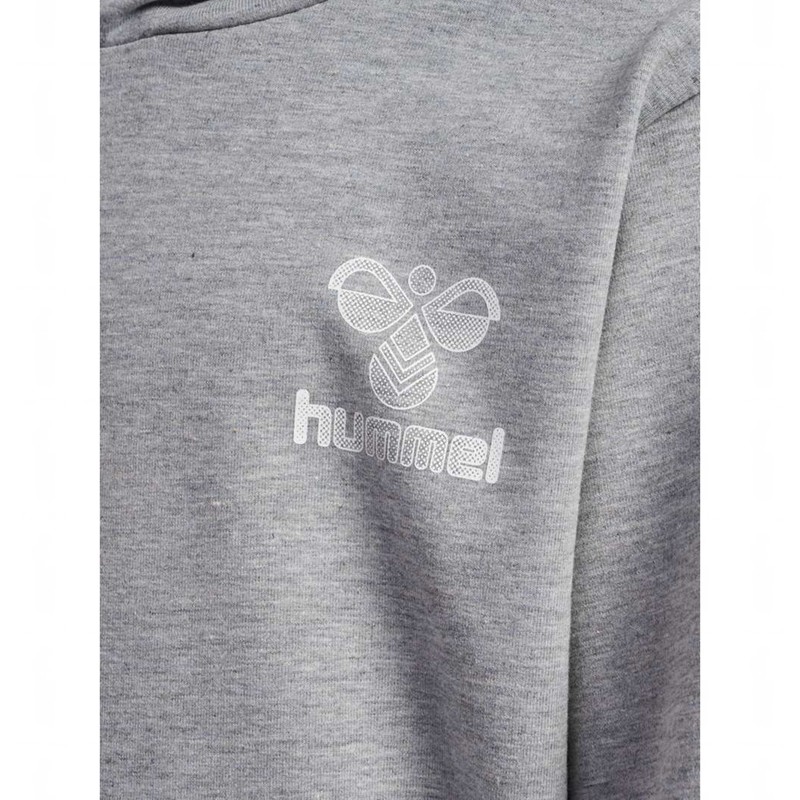 Hummel Proud Hoodie Kinder Grau | 866846-137